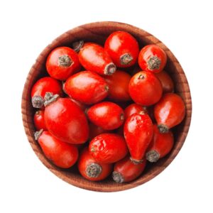 Rosehip Berries 003